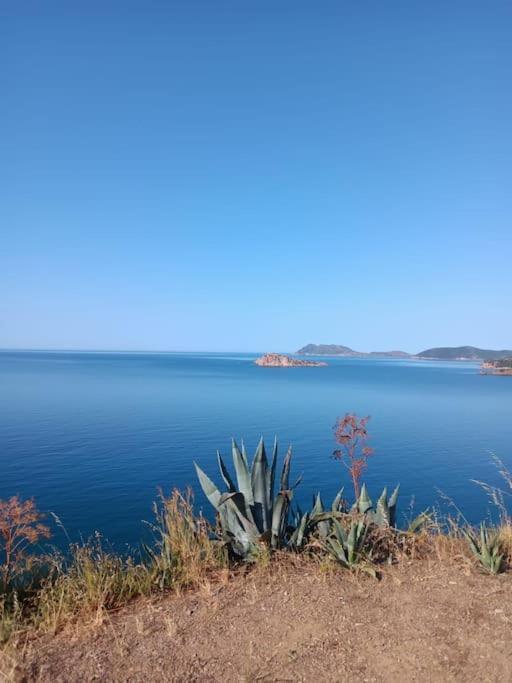 Gli Appartamenti Di Francuzzo Teulada Buitenkant foto